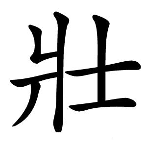 壯怎么读