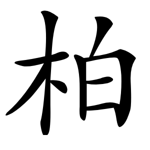 柏怎么读