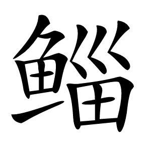鲻怎么读