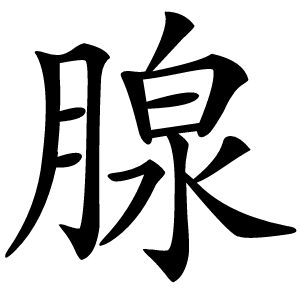 腺怎么读