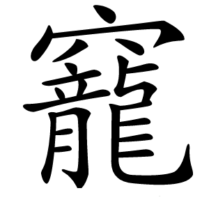 竉怎么读