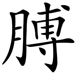 膊怎么读