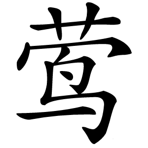 莺怎么读