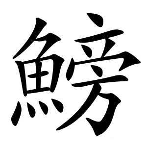 鰟怎么读
