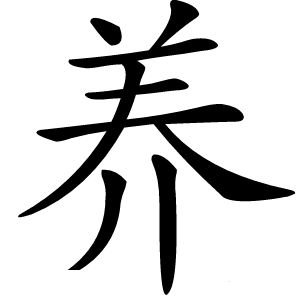 养怎么读