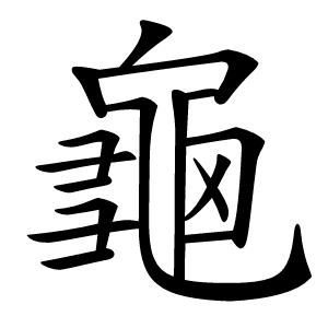 龜怎么读
