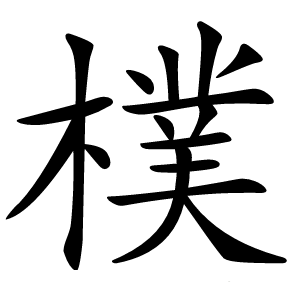 樸怎么读