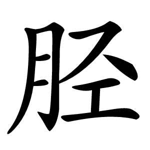 胫怎么读