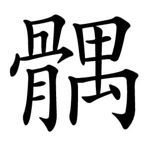 髃怎么读