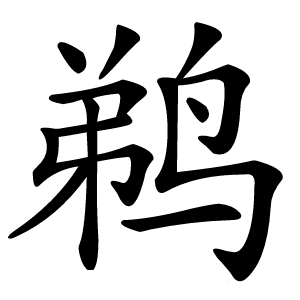 鹈怎么读