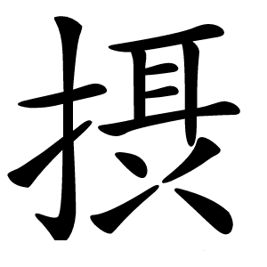 摂怎么读