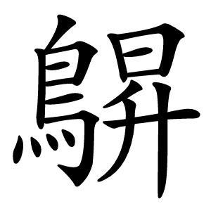 鵿怎么读