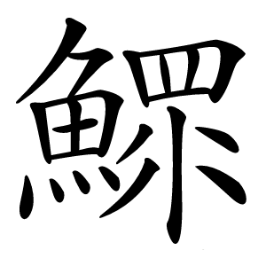 鰥怎么读