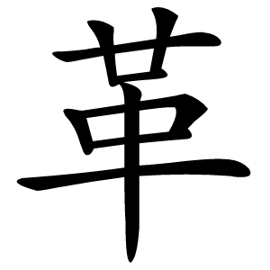 革怎么读