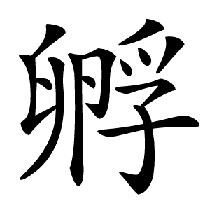 孵怎么读