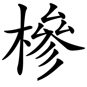 槮怎么读