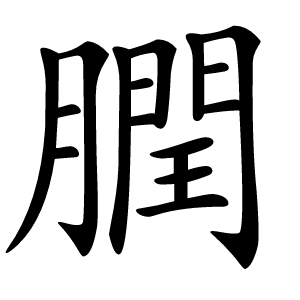 膶怎么读