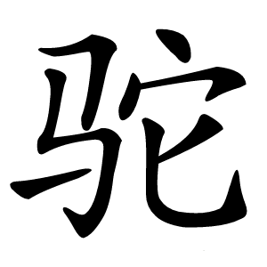 驼怎么读
