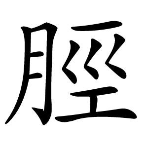 脛怎么读