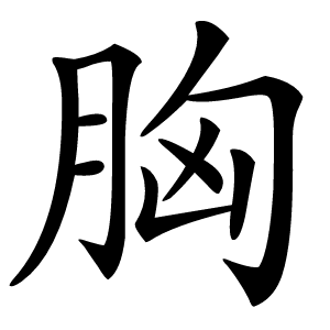胸怎么读