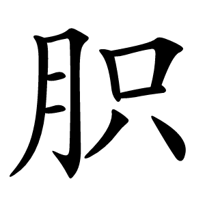 胑怎么读