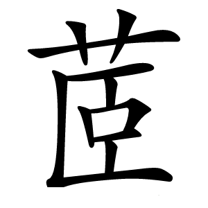 茝怎么读