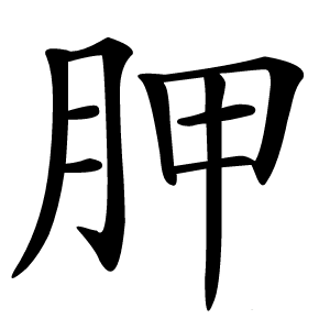 胛怎么读