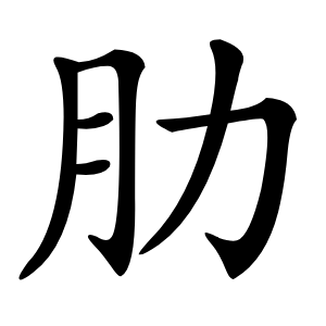 肋怎么读