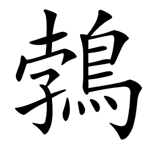 鵓怎么读
