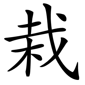 栽怎么读