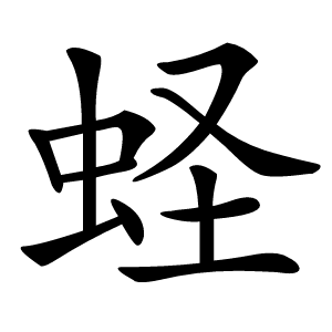 蛏怎么读