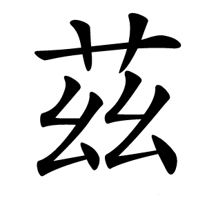 茲怎么读