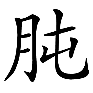 肫怎么读
