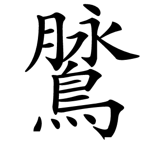 䳮怎么读