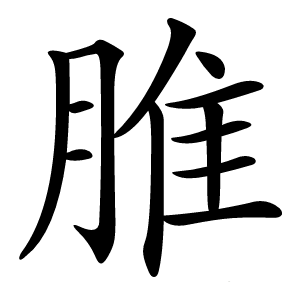 脽怎么读