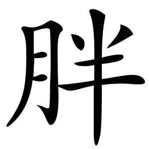 胖怎么读