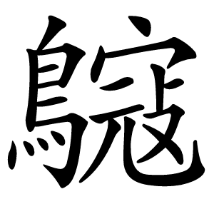 䳹怎么读
