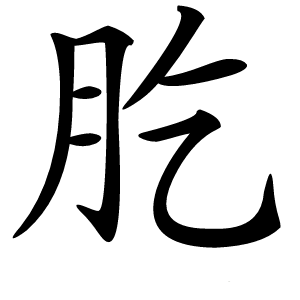 肐怎么读