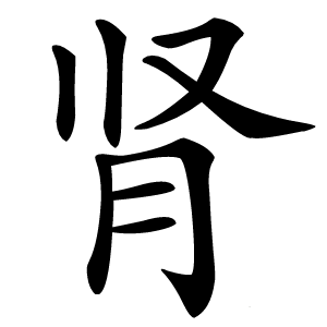 肾怎么读