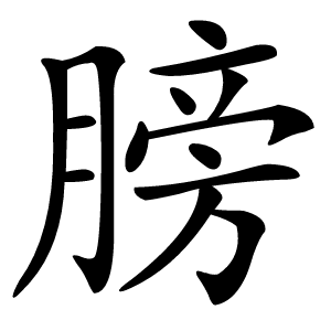 膀怎么读