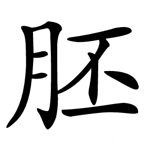 胚怎么读