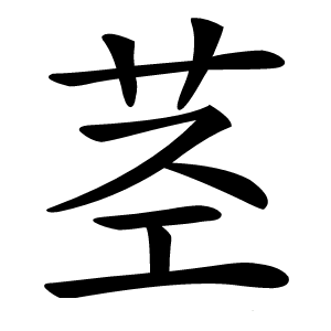 茎怎么读