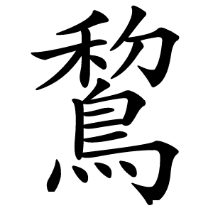 鵹怎么读