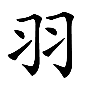 羽怎么读