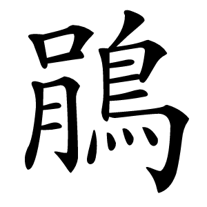 鵑怎么读