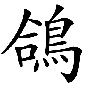 鴿怎么读