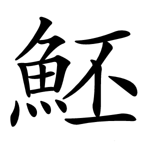魾怎么读