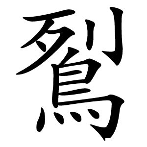 鴷怎么读