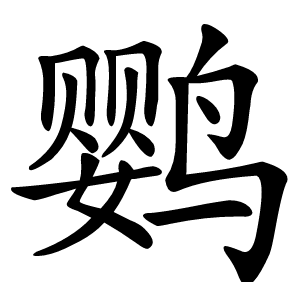 鹦怎么读