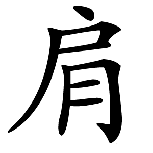 肩怎么读